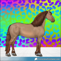 Horse Color:Red Dun 
