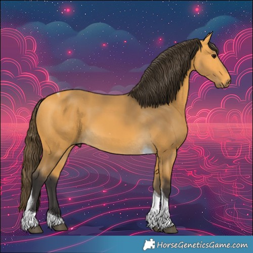 Horse Color:Buckskin Tobiano 