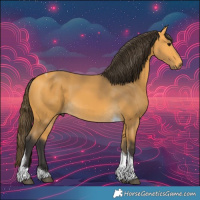 Horse Color:Buckskin Tobiano