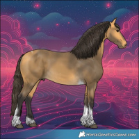 Horse Color:Buckskin Tobiano