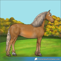 Horse Color:Gray Palomino
