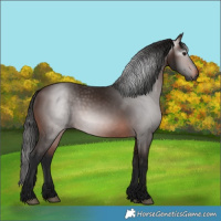 Horse Color:Gray Bay 
