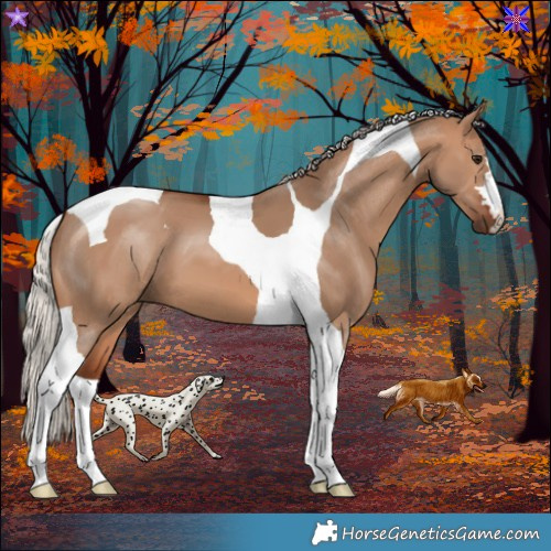 Horse Color:Silver Brown Dun Tobiano 