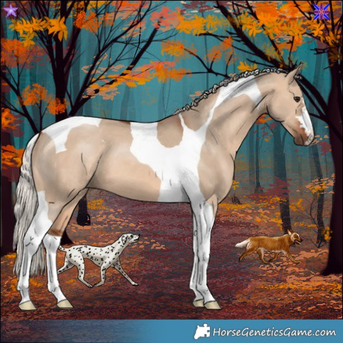 Horse Color:Silver Brown Dun Tobiano