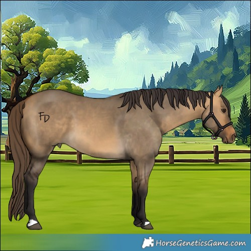 Horse Color:Buckskin Dun 