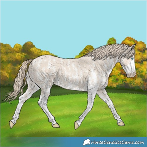 Horse Color:Smoky Creme Sabino 