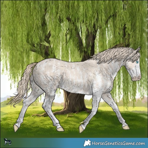 Horse Color:Smoky Creme Sabino 