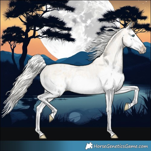 Horse Color:Cremello Splash Varnish  and Cremello Splash Varnish 