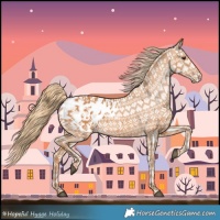 Horse Color:Chestnut Appaloosa 