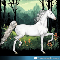 Horse Color:Buckskin Roan Pearl Appaloosa and Buckskin Roan Pearl Splash Appaloosa