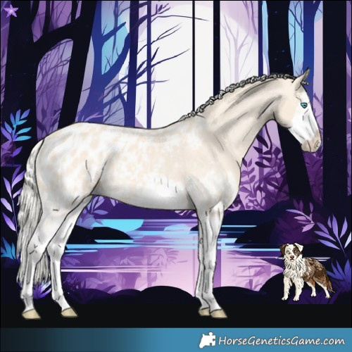 Horse Color:Cremello Splash Blanket  and Cremello Splash Blanket 