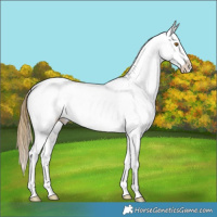 Horse Color:Buckskin Dun Mushroom Snowflake Varnish 
