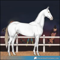 Horse Color:Buckskin Dun Mushroom Snowflake Varnish 