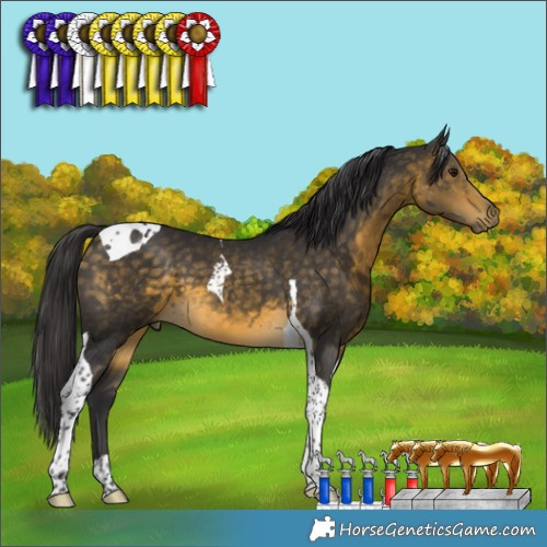 Horse Color:Buckskin Tobiano 