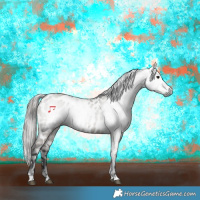 Horse Color:Gray Grullo Near Leopard 