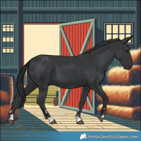 Horse Color:Black 