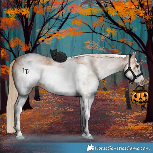 Horse Color:White Spotted Chestnut Sabino Frame 
