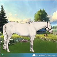 Horse Color:Cremello Dun 