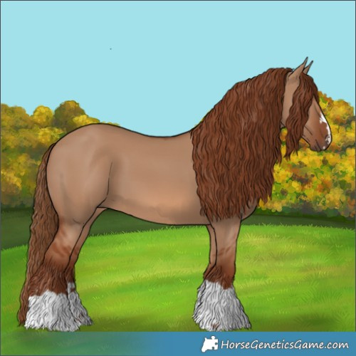 Horse Color:Red Dun 