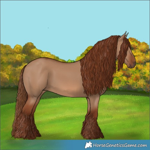 Horse Color:Red Dun 