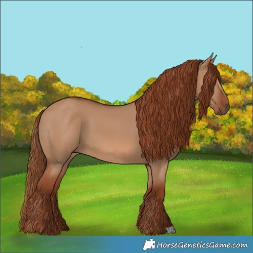 Horse Color:Red Dun 