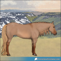 Horse Color:Red Dun 