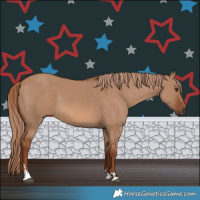 Horse Color:Red Dun 