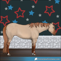 Horse Color:Red Dun 
