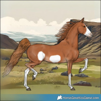 Horse Color:Chestnut Splash Frame 