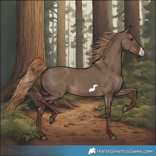 Horse Color:Liver Red Dun Frame Rabicano 