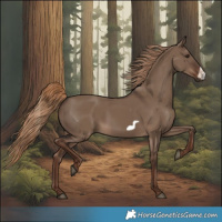 Horse Color:Liver Red Dun Frame Rabicano