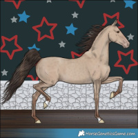 Horse Color:Classic Champagne Dun 