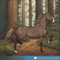 Horse Color:Liver Red Dun Splash Rabicano 