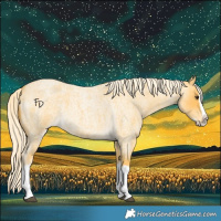 Horse Color:Palomino Roan Splash 