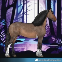 Horse Color:Brown Dun Tobiano