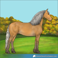 Horse Color:Silver Buckskin 