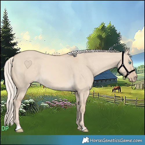Horse Color:Cremello Dun 