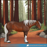 Horse Color:Silver Brown Tobiano 