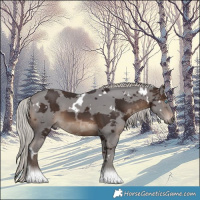 Horse Color:White Spotted Silver Brown Merle 