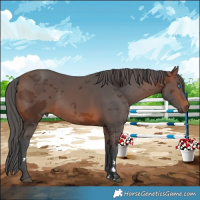 Horse Color:Brown Merle
