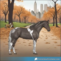 Horse Color:Silver Black Tobiano