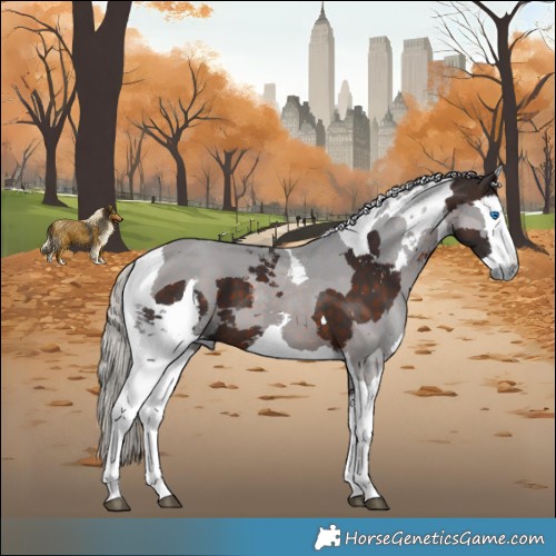 Horse Color:Silver Brown Merle