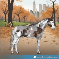 Horse Color:Silver Brown Merle 