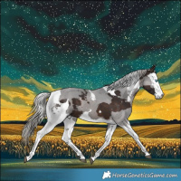 Horse Color:Silver Brown Merle 