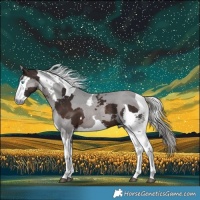 Horse Color:Silver Brown Merle 