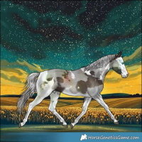 Horse Color:Silver Brown Merle 