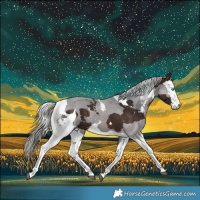 Horse Color:Silver Brown Merle 