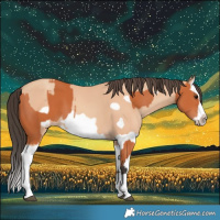 Horse Color:Bay Splash Frame  and Amber Champagne Splash Frame 