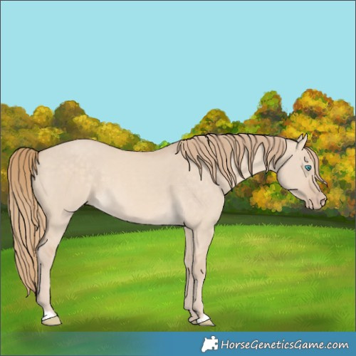 Horse Color:Perlino Dun 