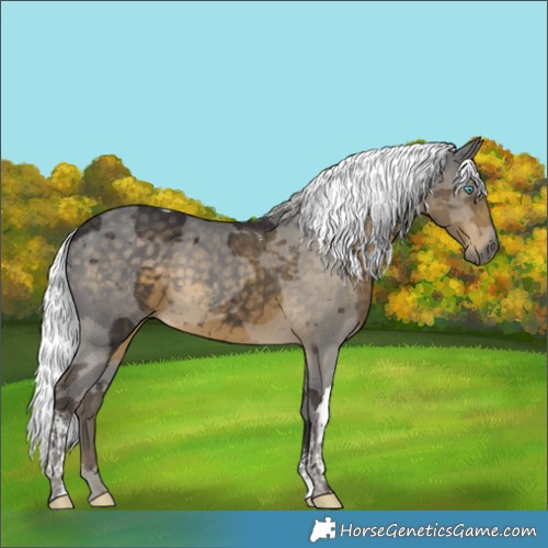 Horse Color:Silver Smoky Black Merle Tobiano